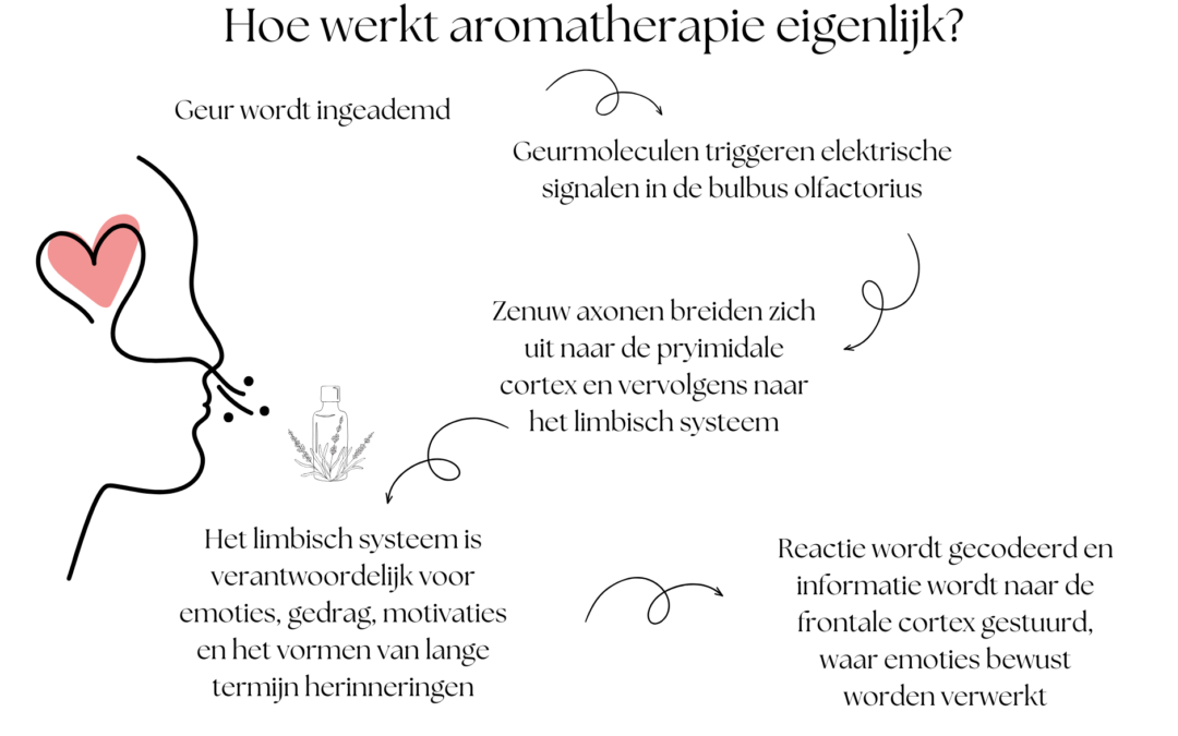 Hoe werkt aromatherapie eigenlijk?